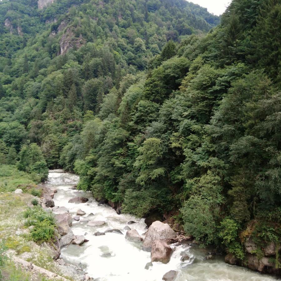 Zisto Apart Otel Rize Esterno foto